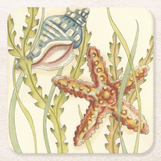 Dessous-de-verre Carré En Papier Partie Shell multicolore (Devant)