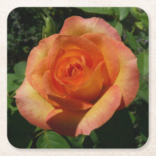Dessous-de-verre Carré En Papier Peach Rose Orange Floral Photographie