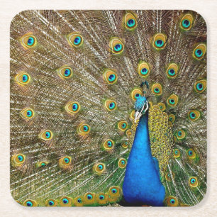 Dessous-de-verre Carré En Papier Peacock Motif Peacock Artisanat Peacock Peinture A
