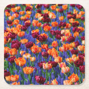 Dessous-de-verre Carré En Papier Pêche et tulipes rouges dans les fleurs d'hyacinth