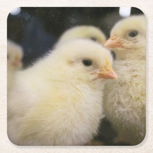 Dessous-de-verre Carré En Papier Peeps (Devant)