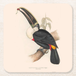 Dessous-de-verre Carré En Papier Peinture animalière d'antiquités Toucans
