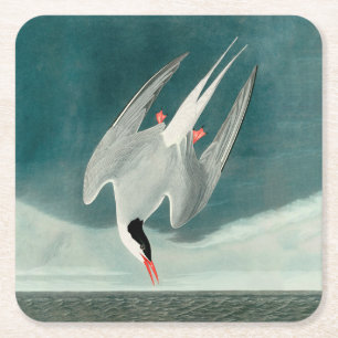 Dessous-de-verre Carré En Papier Peinture de faune d'oiseau de sterne arctique Audu