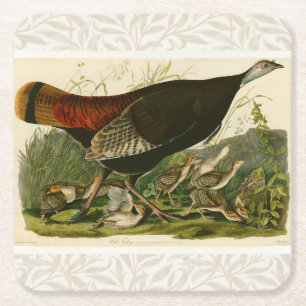 Dessous-de-verre Carré En Papier Peinture d'oiseaux sauvages de Turquie Audubon