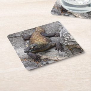 Dessous-de-verre Carré En Papier Perchoir en pierre du dragon de Komodo