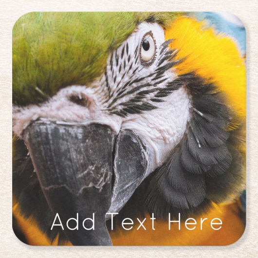 Dessous-de-verre Carré En Papier Perroquet vert, bleu et jaune (Devant)