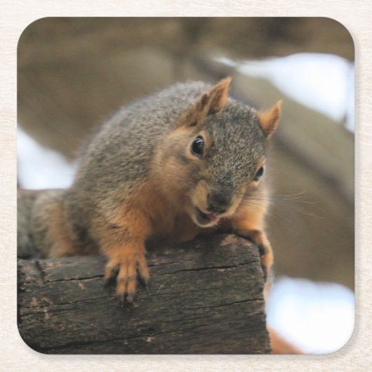 Dessous-de-verre Carré En Papier Pfft (Devant)