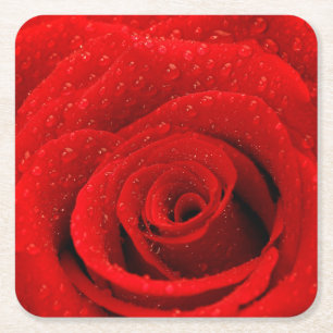 Dessous-de-verre Carré En Papier Photo d'arrière - plan de rose rouge