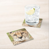 Dessous-de-verre Carré En Papier Photo guepard, chat, animaux. (En situation)