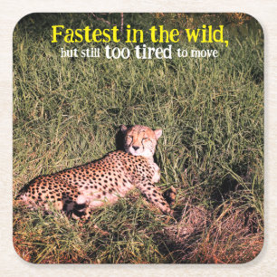 Dessous-de-verre Carré En Papier Photo Lazy cheetah