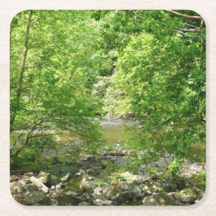 Dessous-de-verre Carré En Papier Photographie de la nature dans le Maryland vue sur