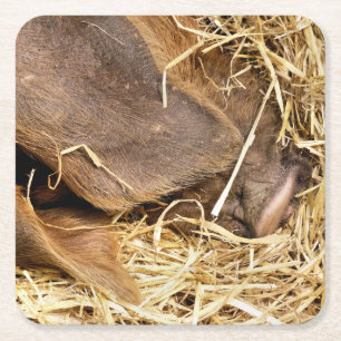 DESSOUS-DE-VERRE CARRÉ EN PAPIER PIÈCES