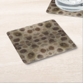 Dessous-de-verre Carré En Papier Pierre de Petoskey Michigan État fossile de pierre (Incliné)