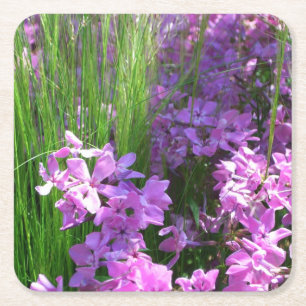 Dessous-de-verre Carré En Papier Pink Phlox et Grass été Floral