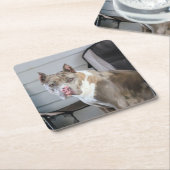 Dessous-de-verre Carré En Papier Pit Bull (Incliné)