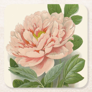 Dessous-de-verre Carré En Papier Pivoine en arbre – Dessin botanique vintage élégan