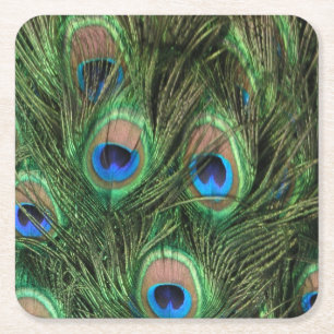 Dessous-de-verre Carré En Papier Plumes de paon