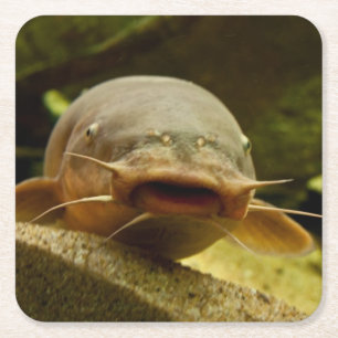 Dessous-de-verre Carré En Papier Poisson-chat électrique