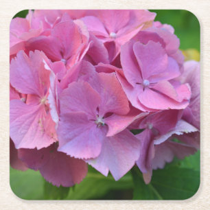 Dessous-de-verre Carré En Papier Pompée rose Hydrangea Hortensia Fleur