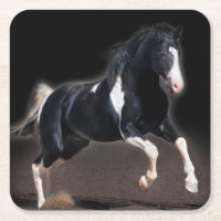 Portrait de cheval VIII