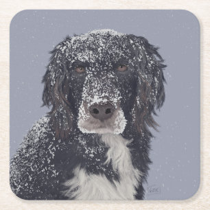 Dessous-de-verre Carré En Papier Portrait de chien mélange de Spaniel