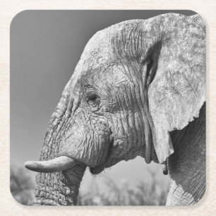 Dessous-de-verre Carré En Papier Portrait d'éléphant