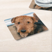 Dessous-de-verre Carré En Papier Portrait d'un Airedale Terrier (Incliné)