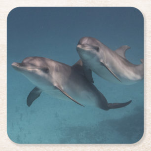 Dessous-de-verre Carré En Papier Pose espiègle