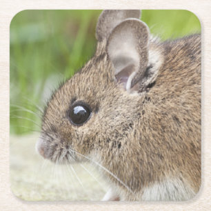 Dessous-de-verre Carré En Papier Profil de la souris