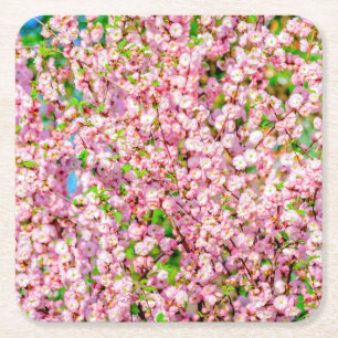 Dessous-de-verre Carré En Papier Prunier en fleurs
