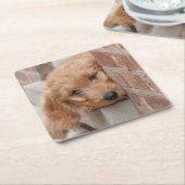 Dessous-de-verre Carré En Papier Puppy Pékin (Incliné)