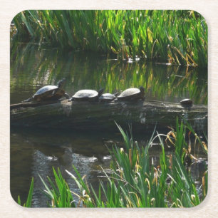 Dessous-de-verre Carré En Papier Rangée de tortues Green Nature Photo