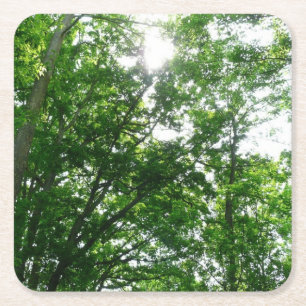 Dessous-de-verre Carré En Papier Regard sur les arbres d'été