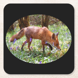 Dessous-de-verre Carré En Papier Renard roux dans la forêt de bois aux jacinthes de
