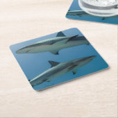 Dessous-de-verre Carré En Papier Requin des Caraïbes de récif (Incliné)