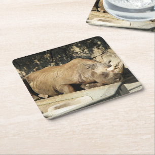 Dessous-de-verre Carré En Papier Rhino couché