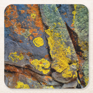 Dessous-de-verre Carré En Papier Rochers couverts de lichen