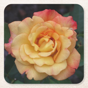 Dessous-de-verre Carré En Papier Rose Beautiful Pink and Yellow Floral