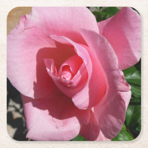 Dessous-de-verre Carré En Papier Rose III Jardin Floral
