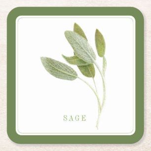 Dessous-de-verre Carré En Papier SAGE FRAÎCHE Dessous de verre en papier carré (+te