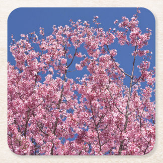 Dessous-de-verre Carré En Papier Sakura Cerisiers en Fleur Dans Le Bleu