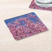 Dessous-de-verre Carré En Papier Sakura Cherry Fleurit Dans Le Bleu (Incliné)