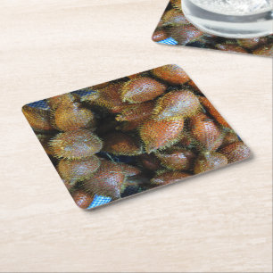 Dessous-de-verre Carré En Papier Salak [Fruit de serpent]