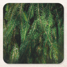 Sapin de Noël vert foncé saisonnier