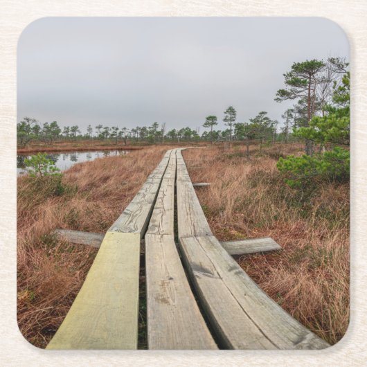 Dessous-de-verre Carré En Papier Sentier de randonnée dans le marécage (Devant)