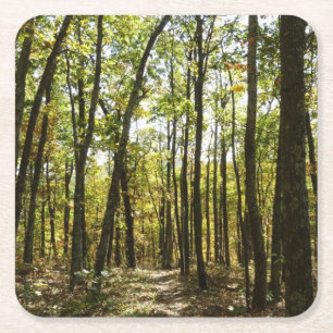 Dessous-de-verre Carré En Papier Sentier des Appalaches en octobre à Shenandoah