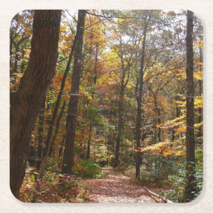 Dessous-de-verre Carré En Papier Sentier ensoleillé d'automne à Laurel Hill State P