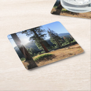 Dessous-de-verre Carré En Papier Simpson Meadow - Sierra