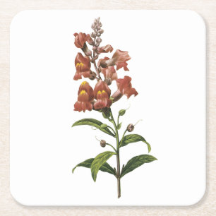 Dessous-de-verre Carré En Papier snapdragon(Antirrhinum sp.) par Redouté