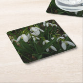 Dessous-de-verre Carré En Papier Snowdrops I (Incliné)